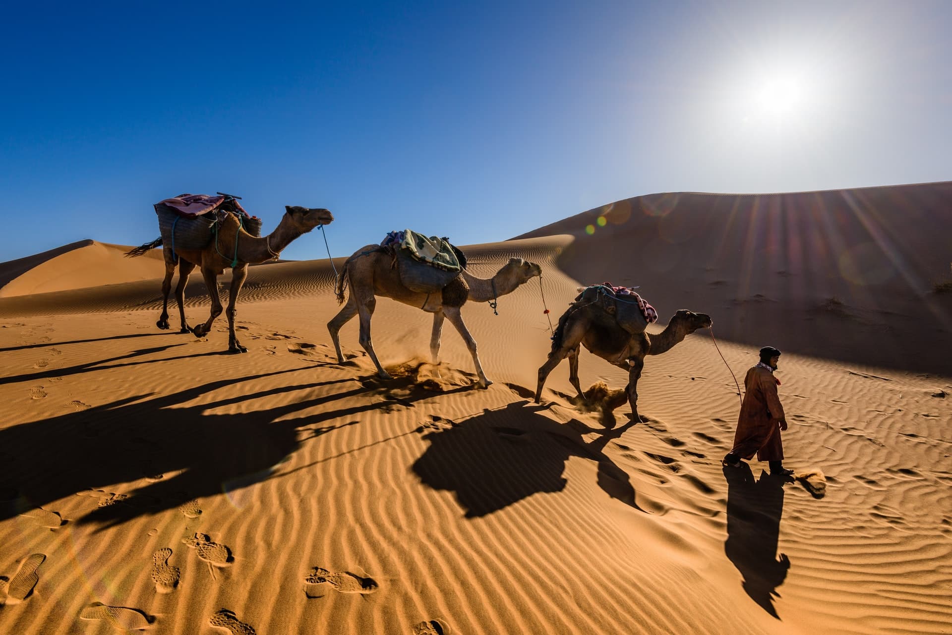 Незабравима почивка и екскурзия в Мароко